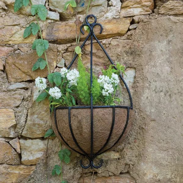 Types of Pots for Plants: A Complete Guide to Choosing the Right One