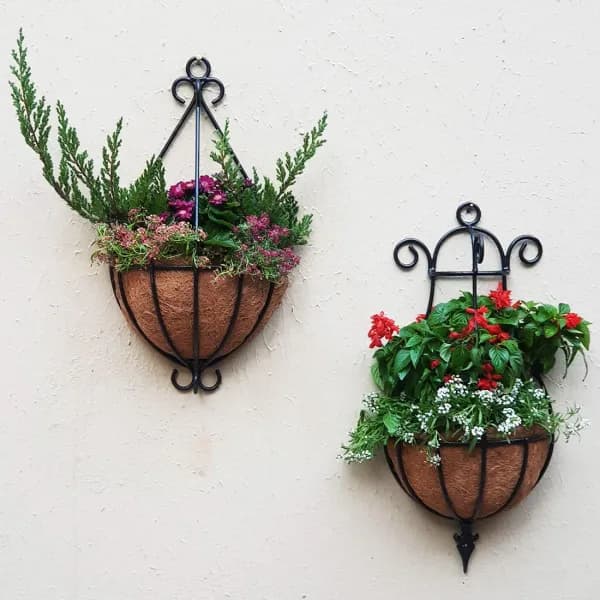 15 Best Outdoor Plants for Indian Homes and Gardens